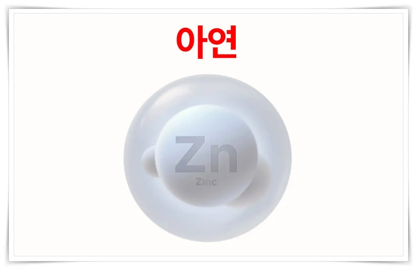 전립선 사군자 프리미엄 효능