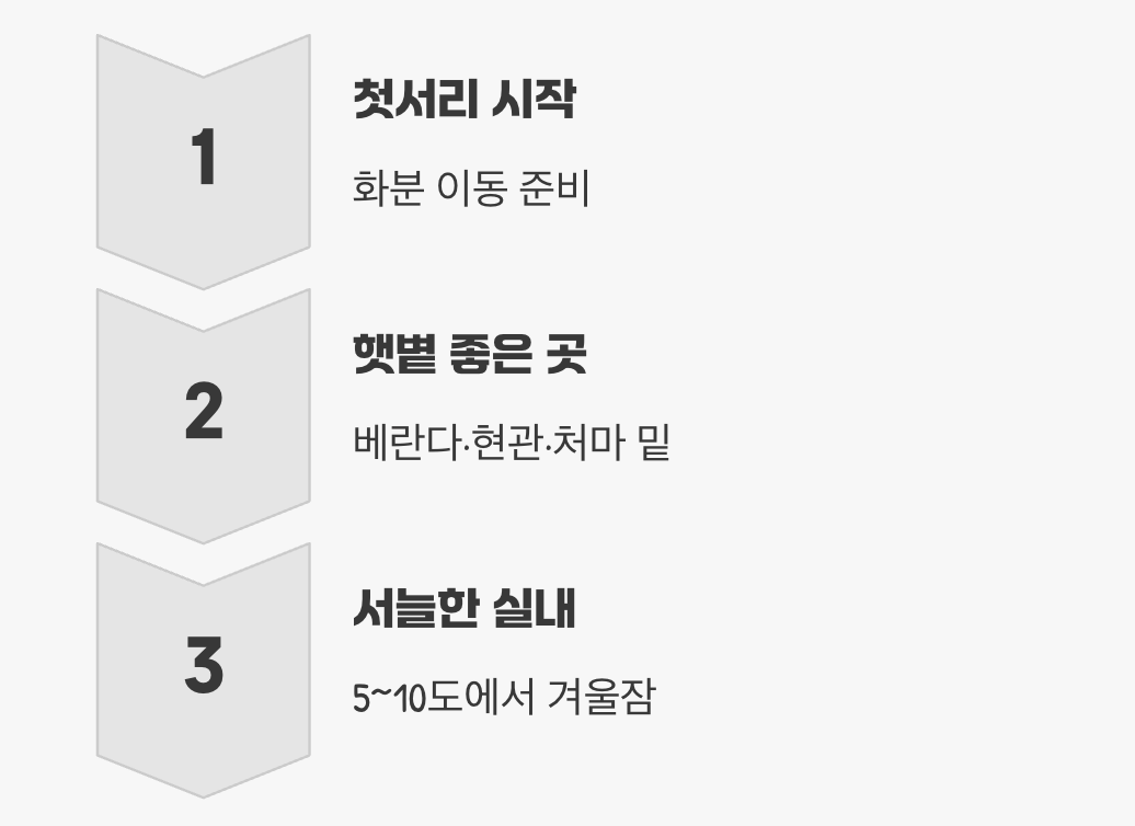 화분이라면, 선택지는 더 많아진다