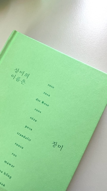 은희경_장미의이름은장미