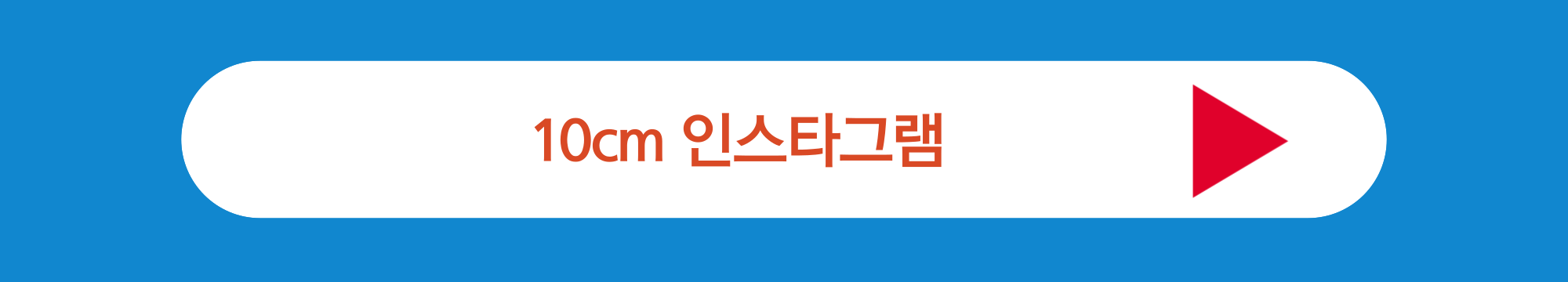 10cm 인스타그램