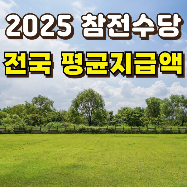 푸른 숲 사진이에요.