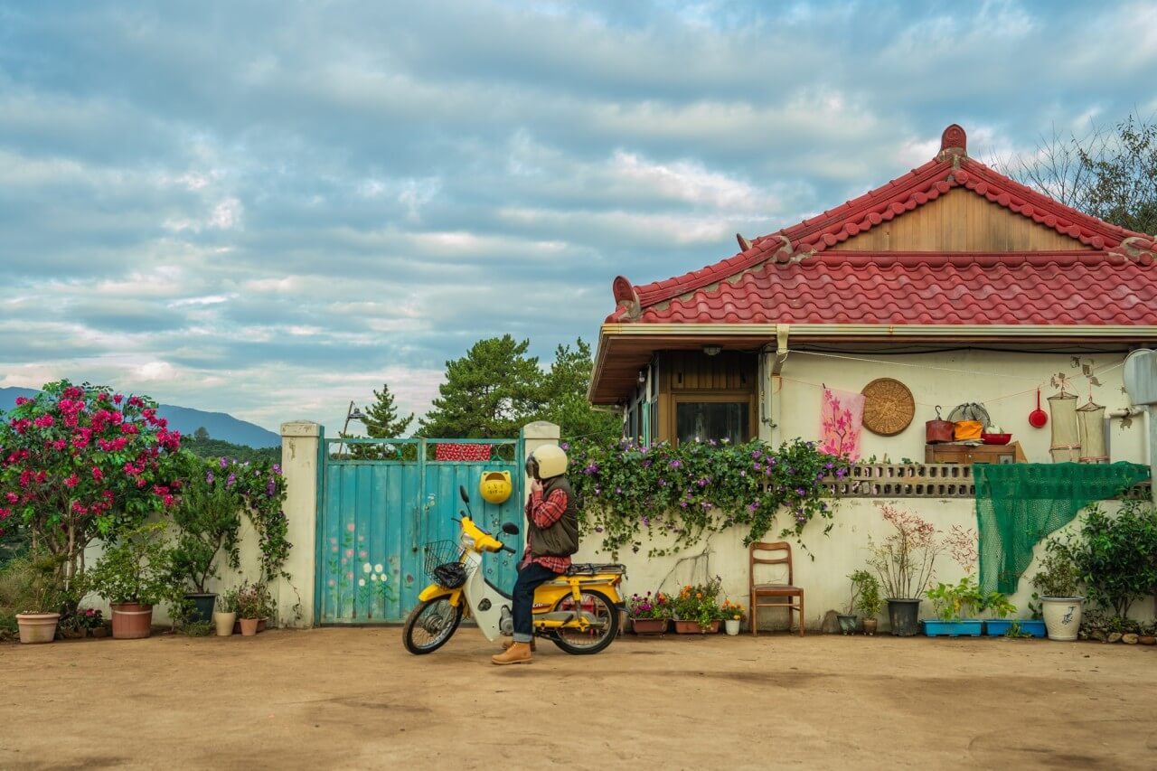 빨간 지붕 파란 대문에 담장에 꽃이 활짝핀 남해 좀비딸 촬영지
