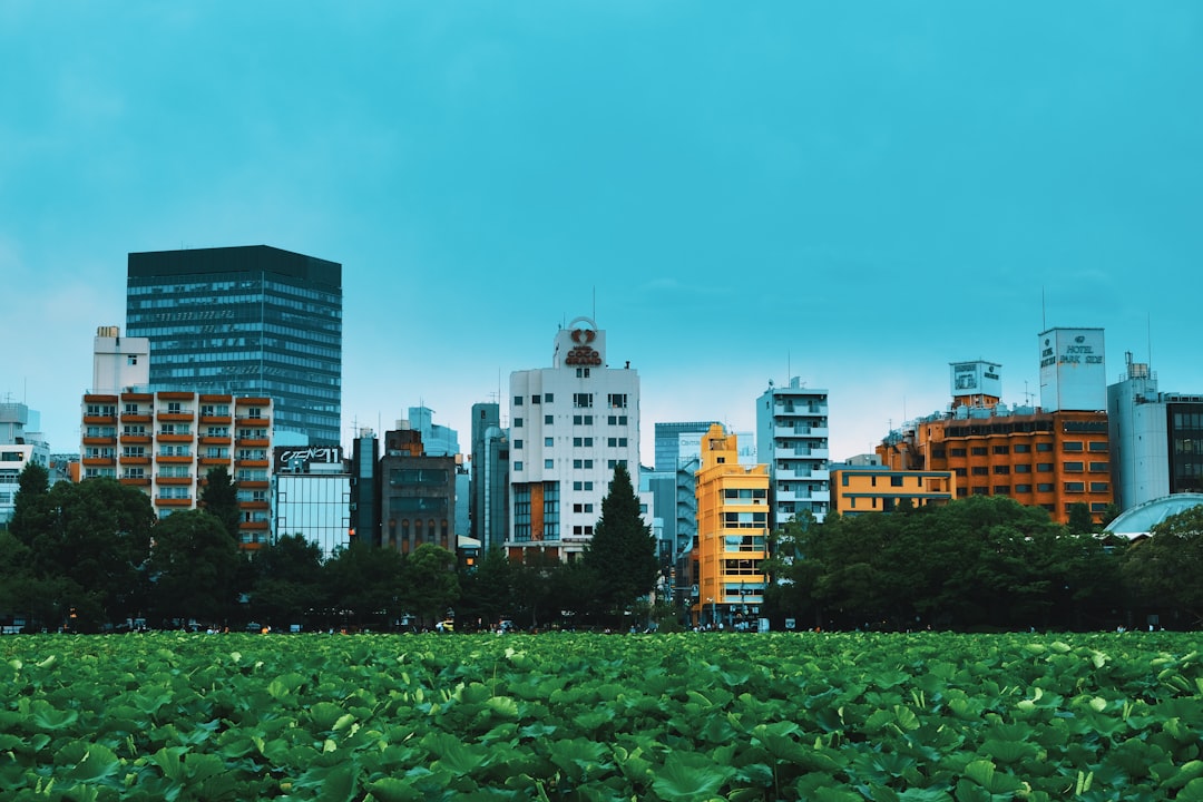 Ueno Park