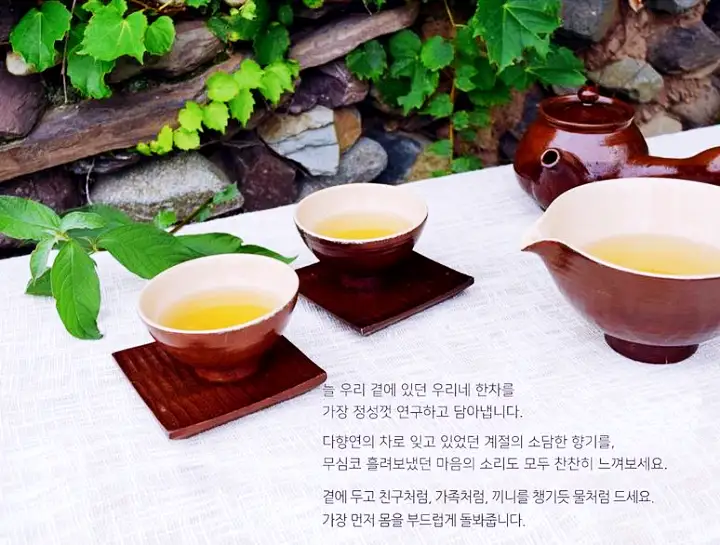 6시내고향 경남 의령 연근차 파는 곳 전국 택배 온라인 전화 주문 추천