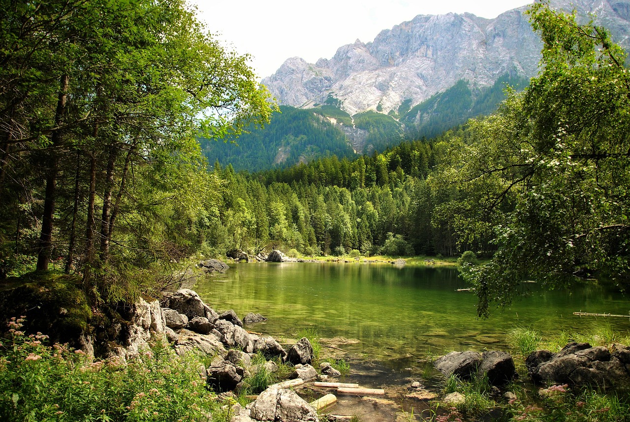 국립휴양림 예약 절차부터 확인 방법
