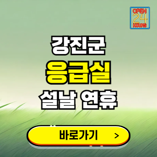 강진군 설날 연휴 비상진료 응급실 병원 찾기 ❘ 내근처 24시 야간 심야 휴일 가능한 곳