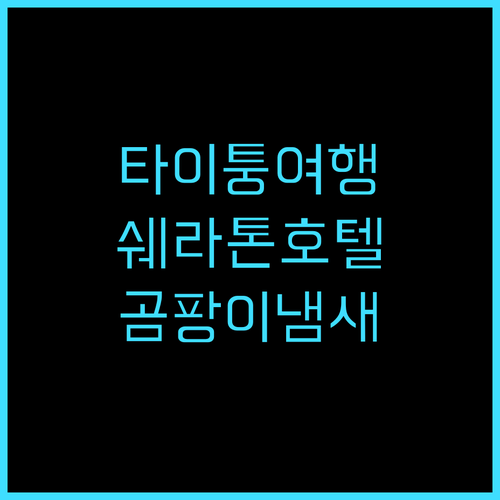 쉐라톤 타이퉁 호텔 추천 후기 곰팡이..