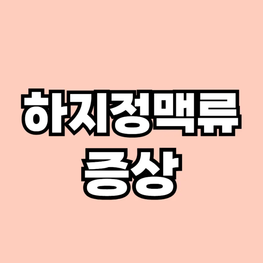 하지 정맥류 증상