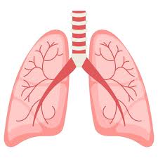 폐에 물이 차는 원인
