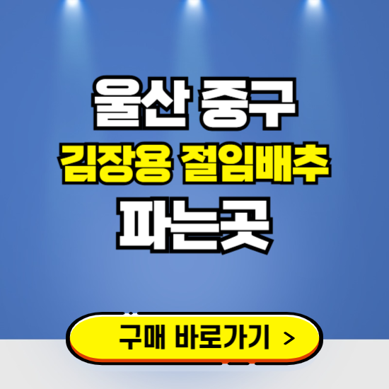 울산 중구 절임배추 사전예약 구입하는곳 ❘ 김장배추 파는곳 가격보기