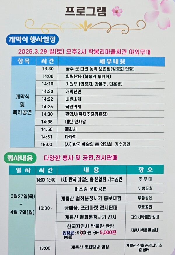 2025 계룡산 벚꽃축제 동학사 벚꽃 명소 여행 가이드