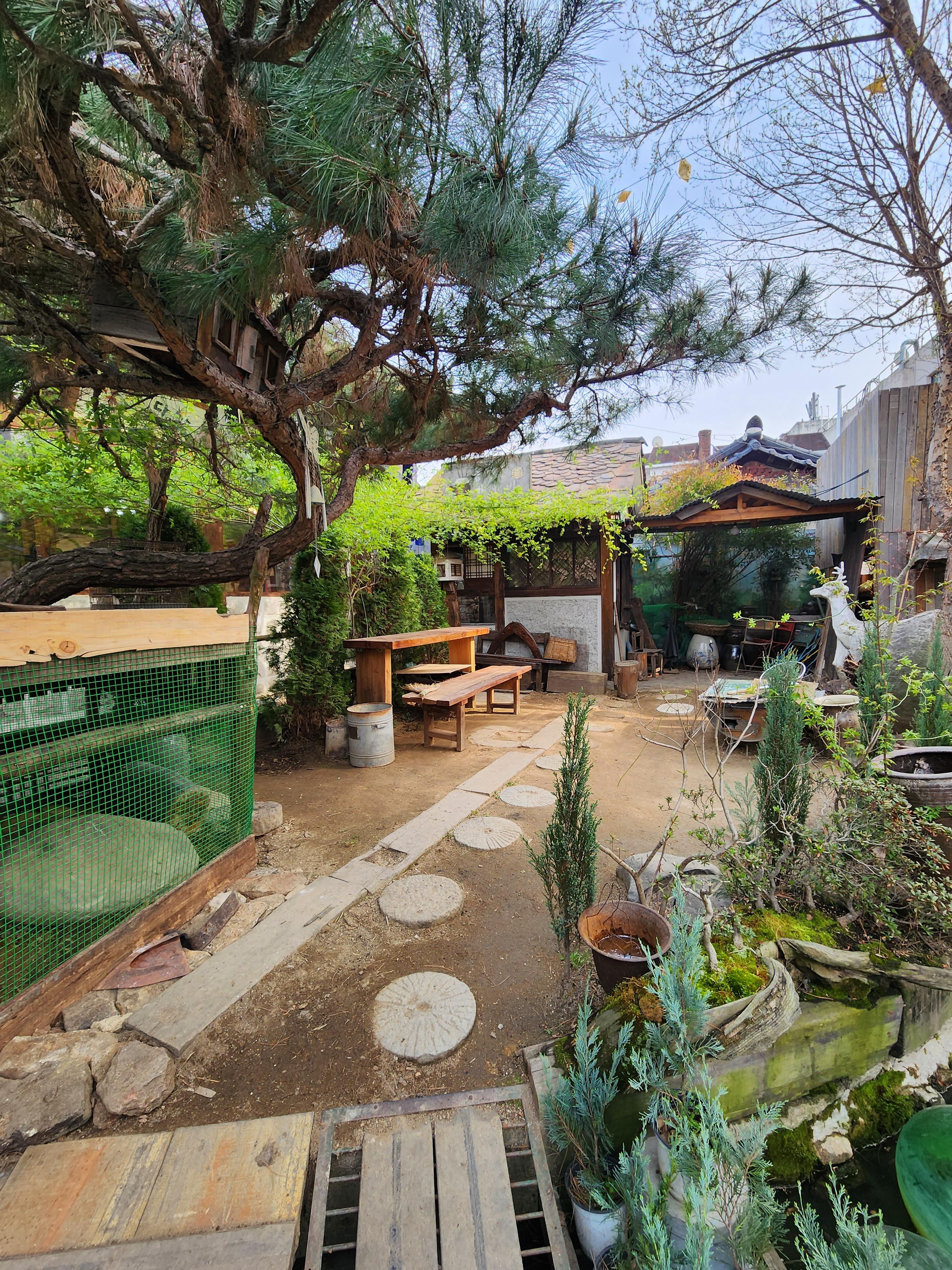 전주 애견동반 갈만한 곳 전주난장