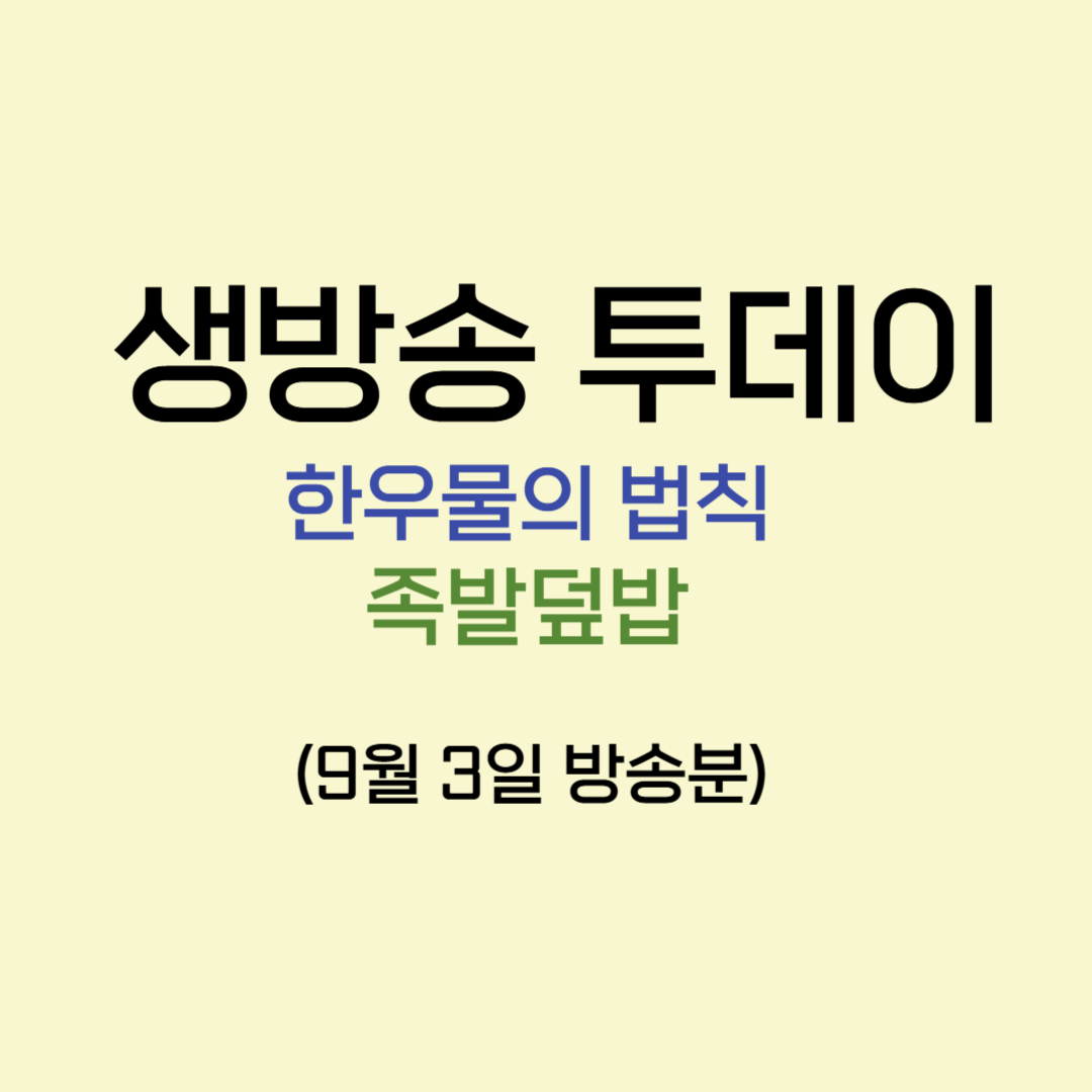 생방송 투데이