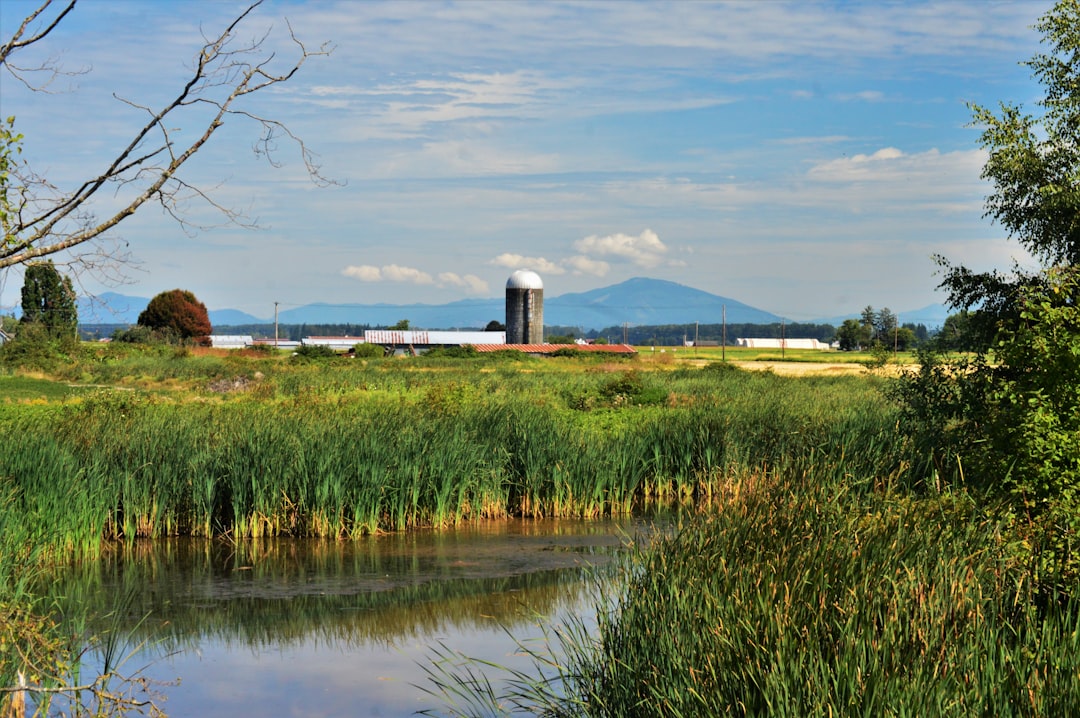 Wetlands
