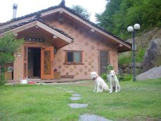 월세 계약서 다운로드