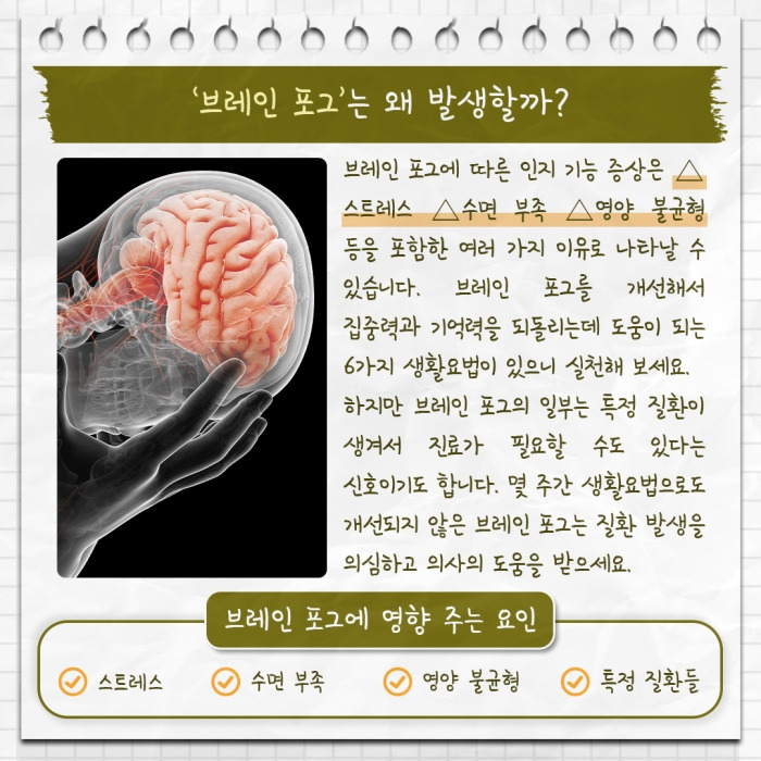 alt="브레인 포그가 왜 생기는 걸까?"