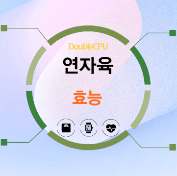 연자육 효능 탐구