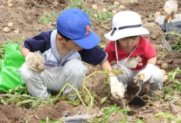 서산 팔봉산 감자축제 일정 장소 공연 체험