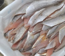 밴댕이회