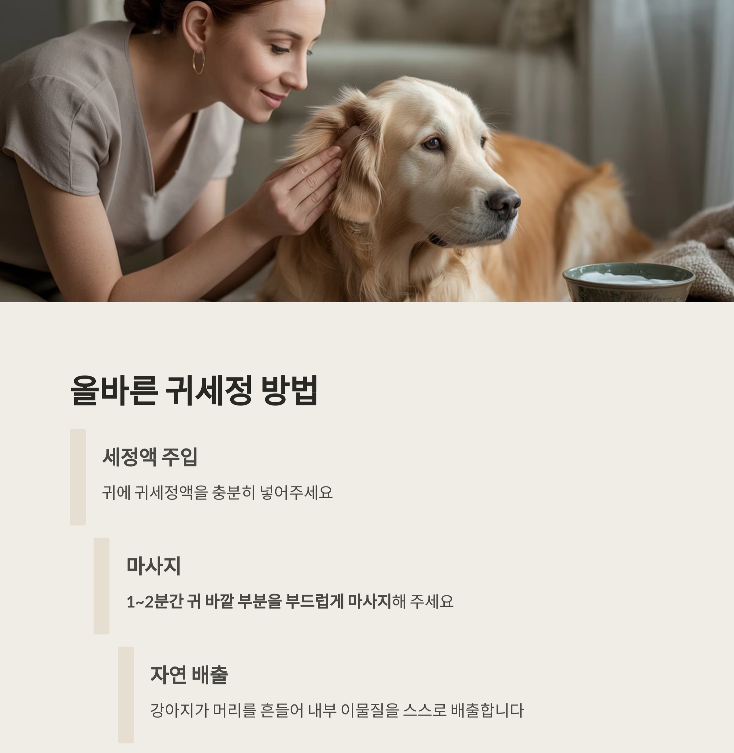 강아지 귀청소, 면봉은 금물! 전용 귀세정제가 필요한 이유