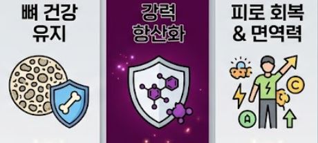 콜라비 효능