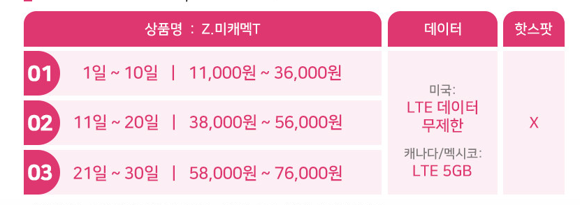미국 이심 가격