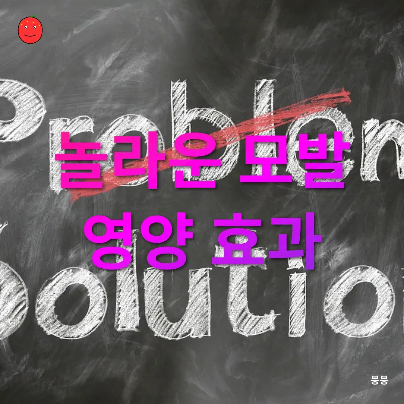천연 해결사_2