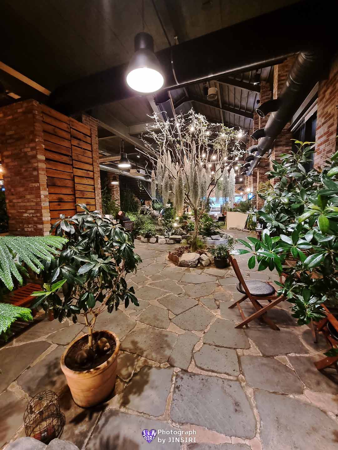 ๊นํฌ ์์ด ๋ฒ ์ด์ปค๋ฆฌ ์๋ฌผ์ ๋ํ ์นดํ ์์ธ๊ทผ๊ต ๋๋ผ์ด๋ธ ๊ธ๋ฆฐ๊ณต์