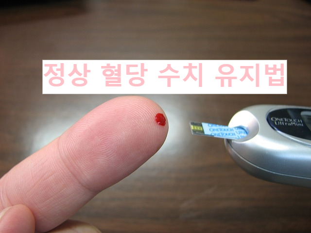정상 혈당 수치 유지법