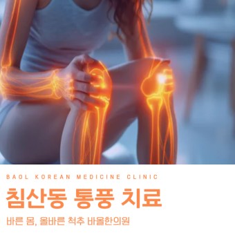 통풍 환자를 위한 생활 가이드: 통풍 관리와 예방을 위한 실용적인 팁