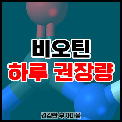 비오틴 하루 권장량