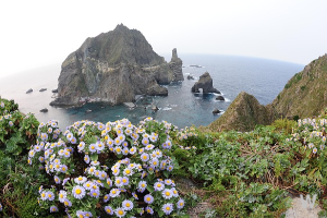 울릉도 관광안내 7