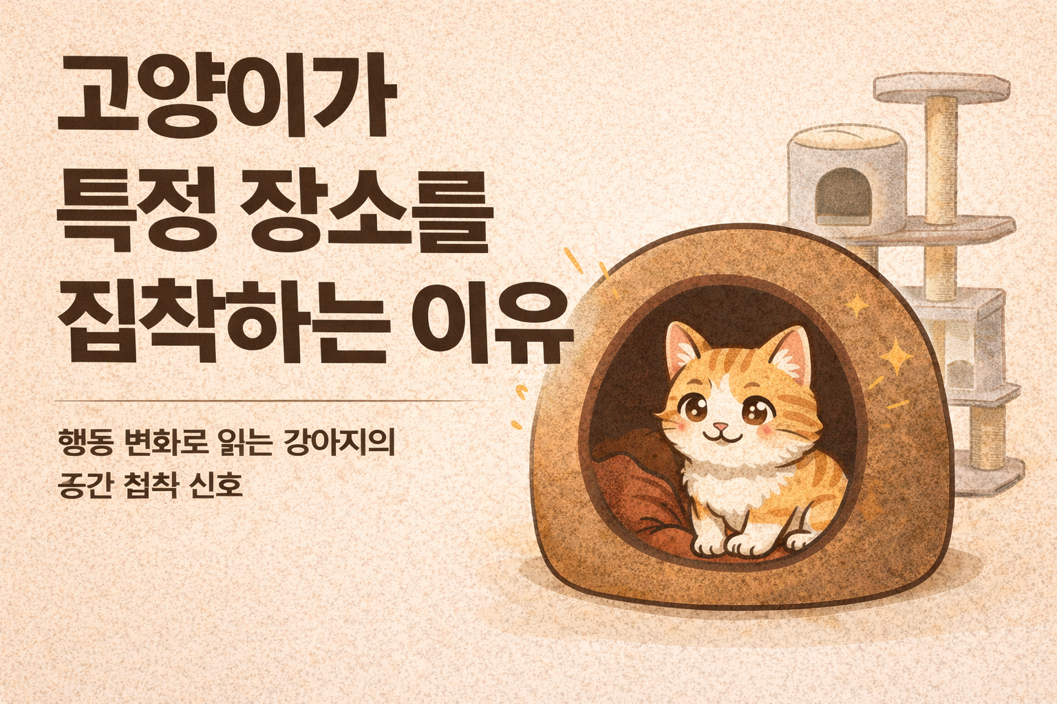 고양이가 특정 장소를 집착하는 이유 / 행동 변화로 읽는 고양이의 공간 집착 신호