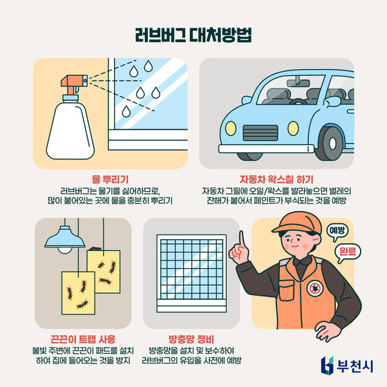 러브버그물림후대처방법러브버그퇴치법