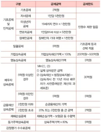 2025년 상속세 면제 한도액 주요 내용 정리_19