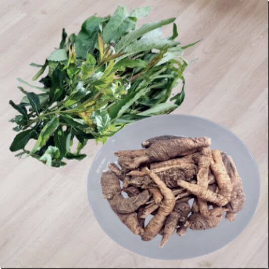 잔대 효능 및 영양소 먹는 법과 주의점