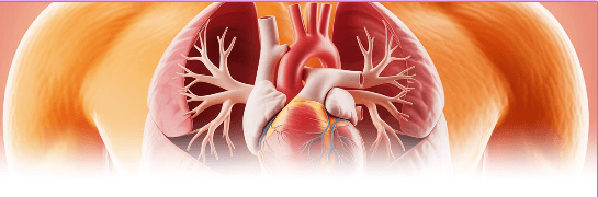 가슴이 답답할때 해결방법