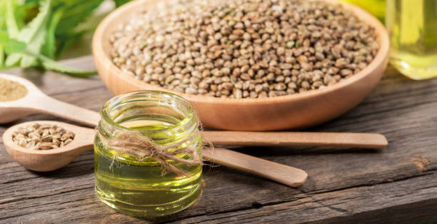 대마 종자유 파는 곳