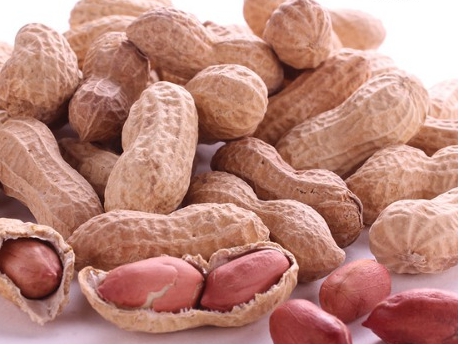 땅콩 효능