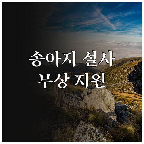 2025 송아지 설사병 예방약품 지원..