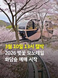화담숲-벚꽃-예약