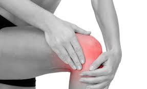 보스웰리아 효능 부작용 (4주 섭취 후기)