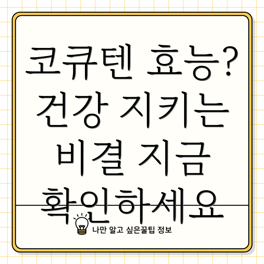 코큐텐 효능