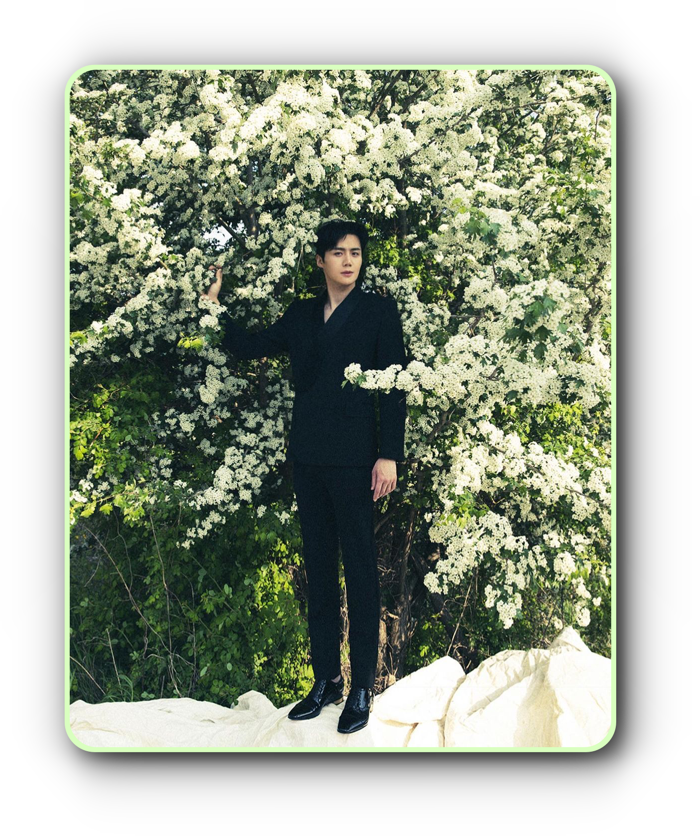 김선호 나이, 키, 몸무게, 고향, 가족, 영화, 드라마 총정리