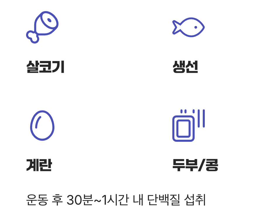근육 공장을 위한 '연료' 공급하기