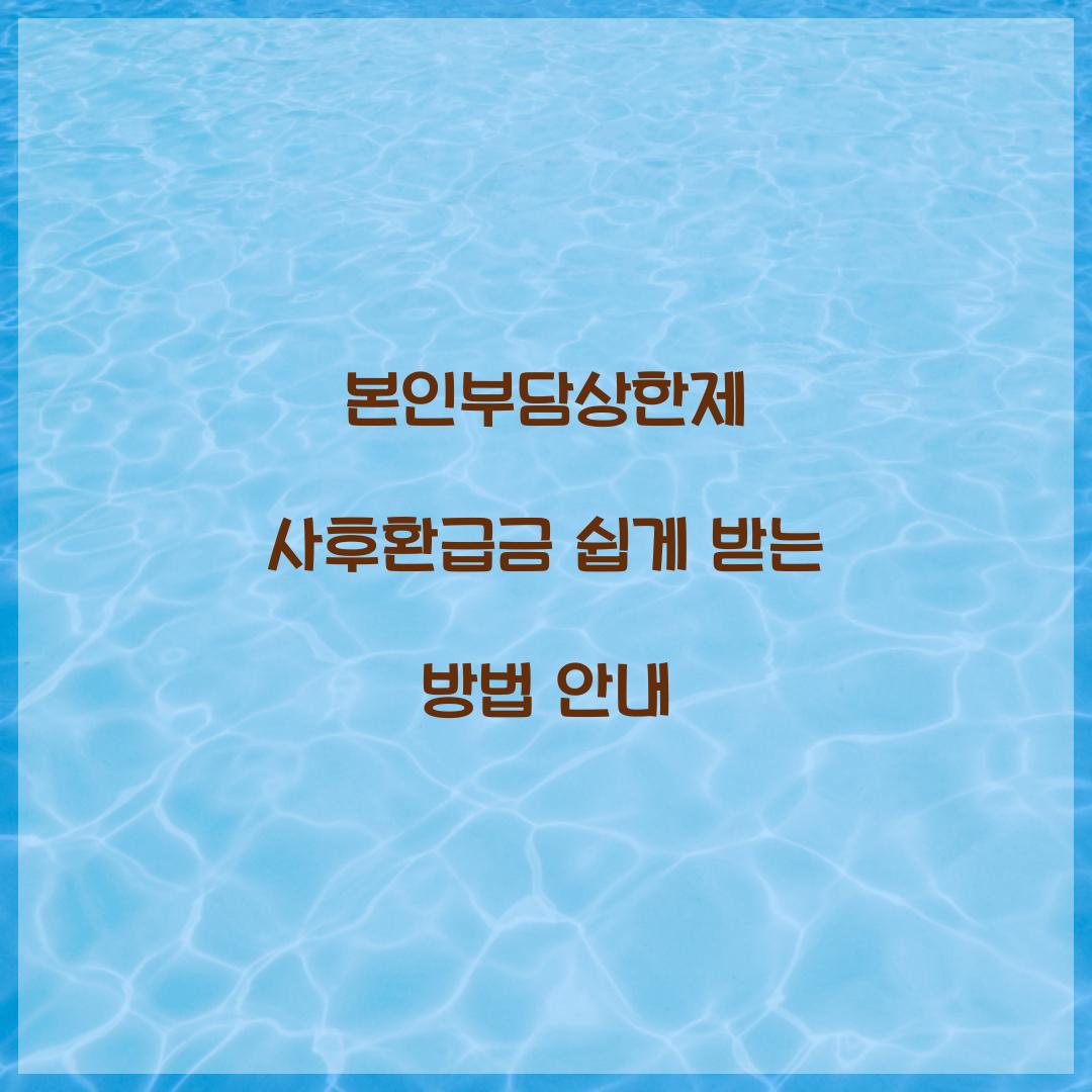 본인부담상한제 사후환급금