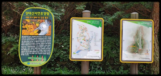 장태산 자연휴양림 가을 단풍 명소, 예약 방법과 필수 확인 사항