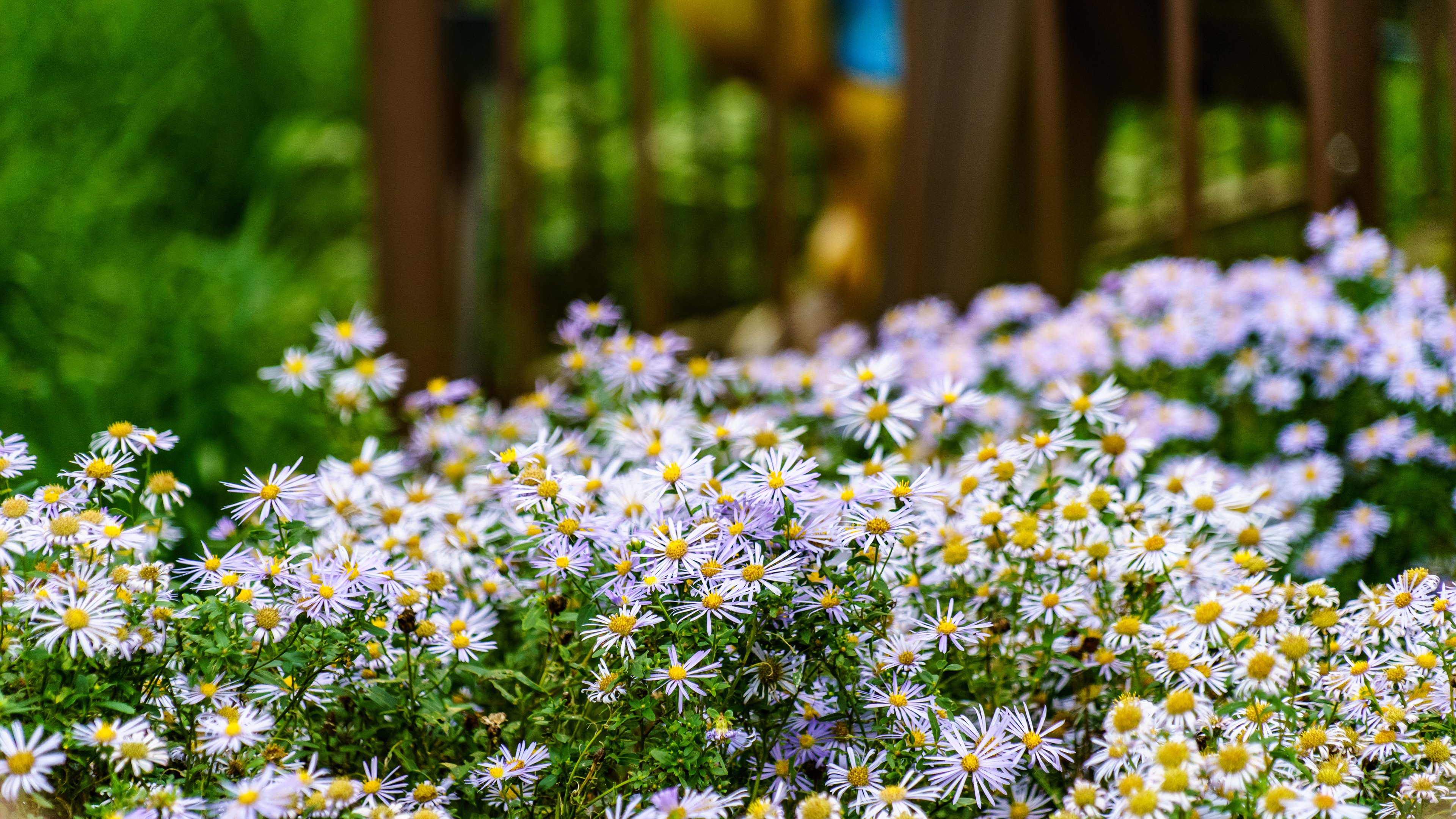 인천 석모도 수목원 입장료
