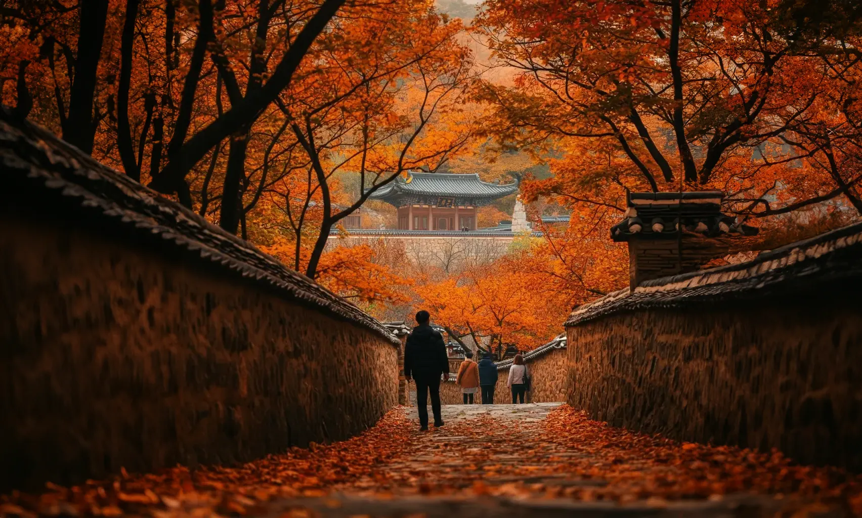 가을의 풍경