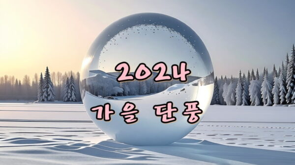 2024 가을 단풍 시기 썸네일
